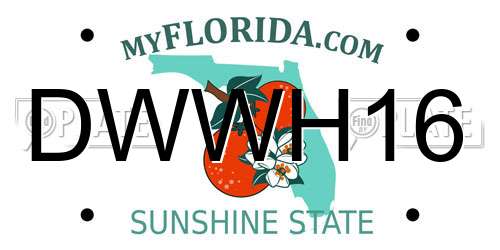 DWWH16 Florida License Plate