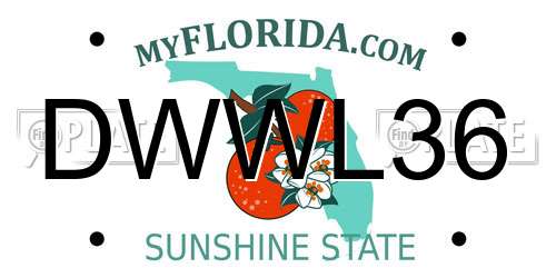 DWWL36 Florida License Plate