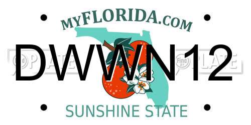 DWWN12 Florida License Plate