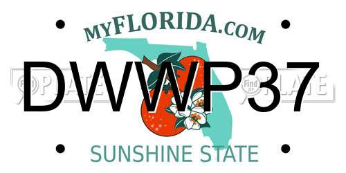 DWWP37 Florida License Plate
