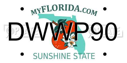 DWWP90 Florida License Plate
