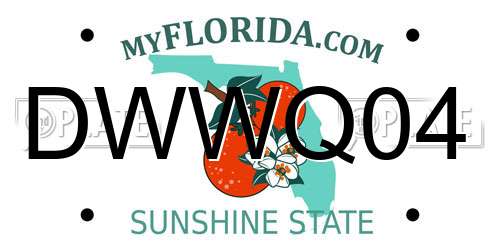 DWWQ04 Florida License Plate