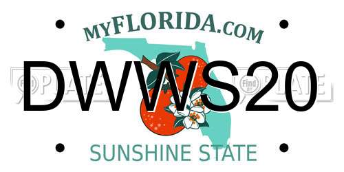 DWWS20 Florida License Plate