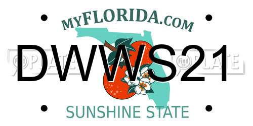 DWWS21 Florida License Plate