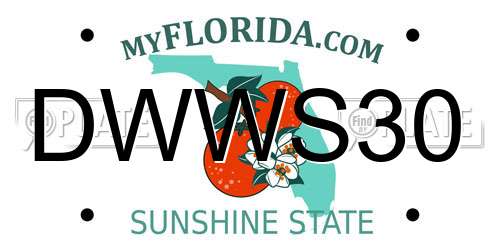 DWWS30 Florida License Plate