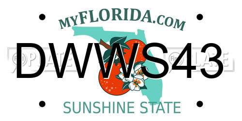 DWWS43 Florida License Plate