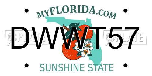 DWWT57 Florida License Plate