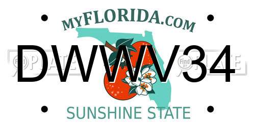DWWV34 Florida License Plate