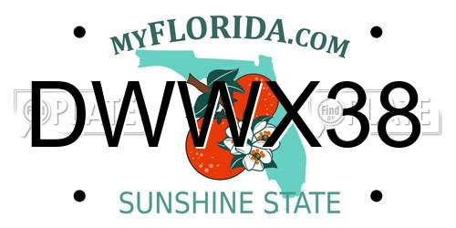 DWWX38 Florida License Plate