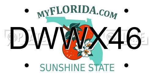 DWWX46 Florida License Plate