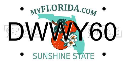 DWWY60 Florida License Plate