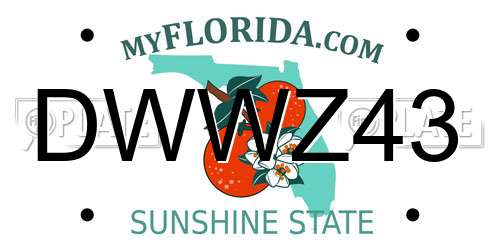 DWWZ43 Florida License Plate
