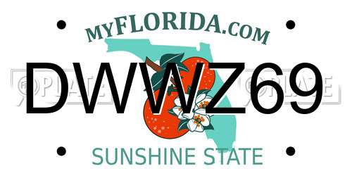 DWWZ69 Florida License Plate