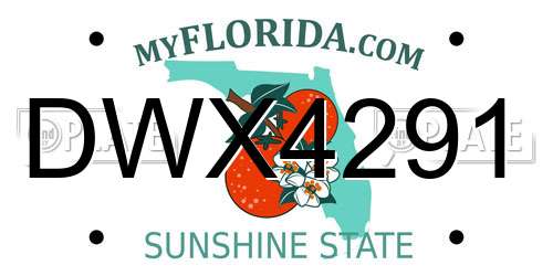 DWX4291 Florida License Plate