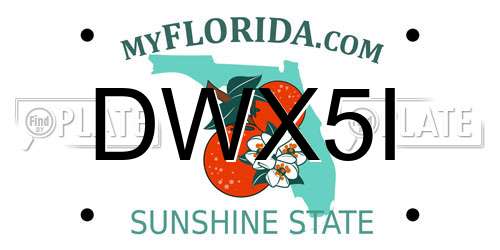 DWX5I Florida License Plate