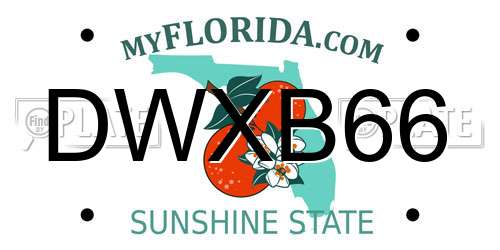 DWXB66 Florida License Plate