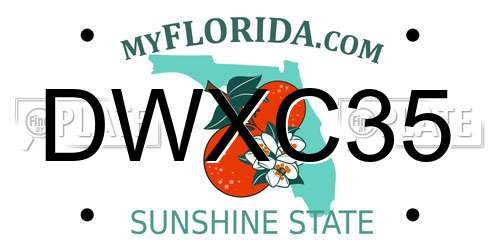 DWXC35 Florida License Plate
