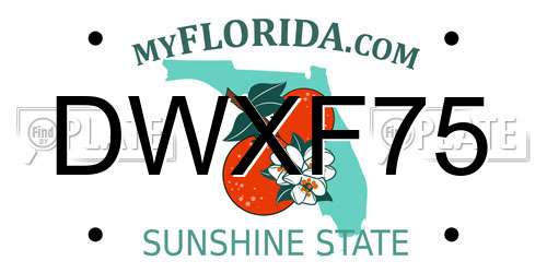 DWXF75 Florida License Plate