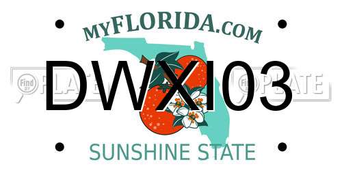 DWXI03 Florida License Plate