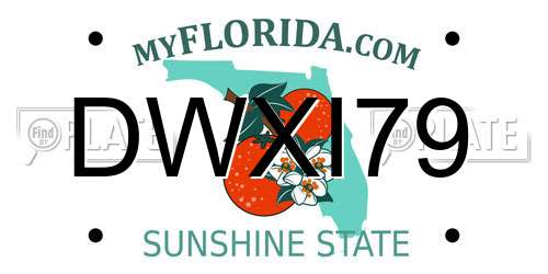 DWXI79 Florida License Plate