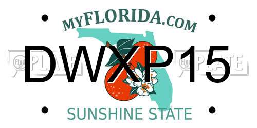 DWXP15 Florida License Plate