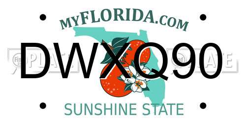 DWXQ90 Florida License Plate
