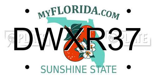 DWXR37 Florida License Plate