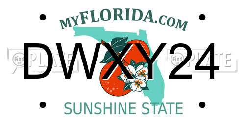 DWXY24 Florida License Plate