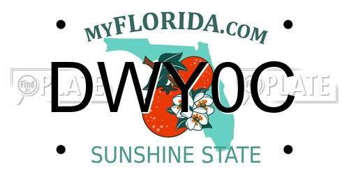 DWY0C Florida License Plate
