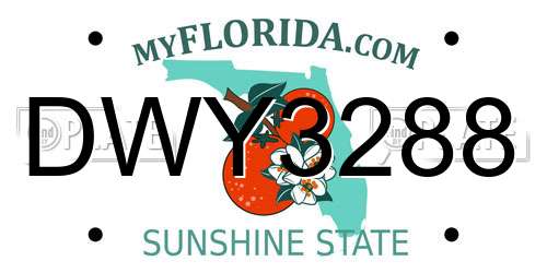 DWY3288 Florida License Plate