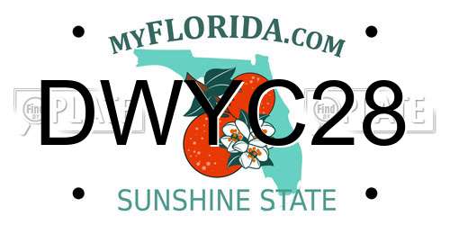 DWYC28 Florida License Plate
