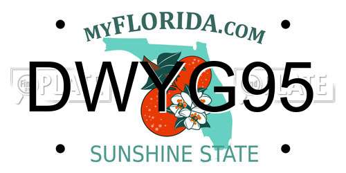 DWYG95 Florida License Plate