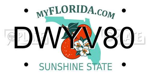 DWYV80 Florida License Plate