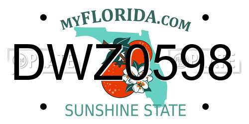 DWZ0598 Florida License Plate