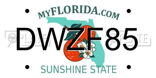 DWZF85 Florida License Plate