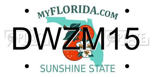 DWZM15 Florida License Plate