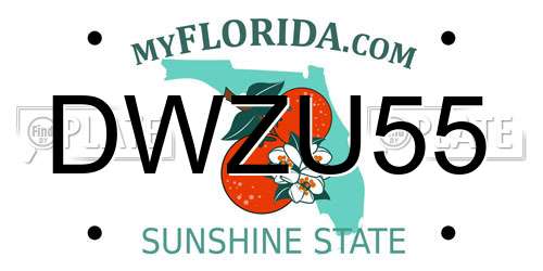 DWZU55 Florida License Plate