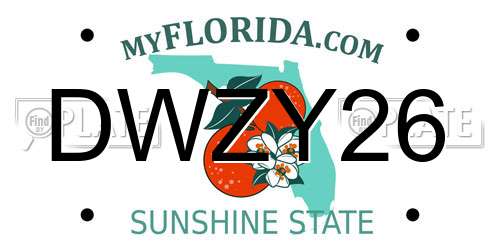 DWZY26 Florida License Plate