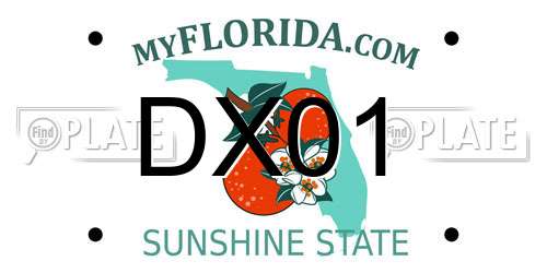 DX01 Florida License Plate