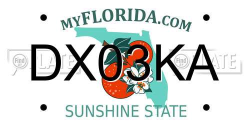 DX03KA Florida License Plate