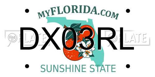 DX03RL Florida License Plate