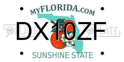 DX10ZF Florida License Plate