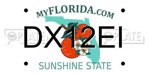 DX12EI Florida License Plate