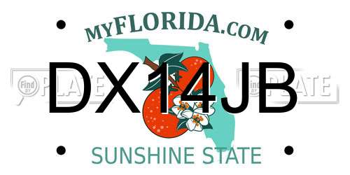 DX14JB Florida License Plate