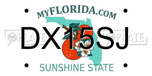 DX15SJ Florida License Plate