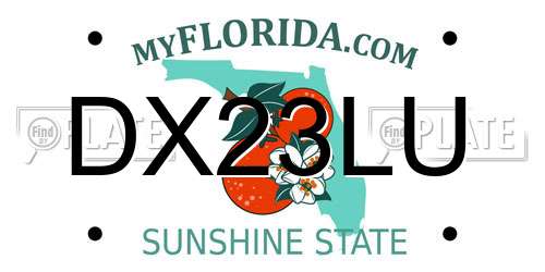 DX23LU Florida License Plate