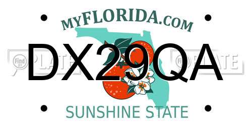 DX29QA Florida License Plate