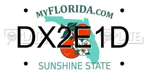 DX2E1D Florida License Plate