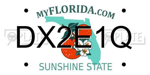 DX2E1Q Florida License Plate