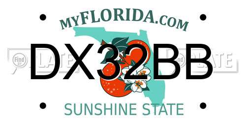 DX32BB Florida License Plate
